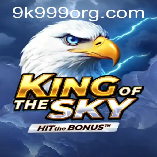 KingOfTheSky: A Comprehensive Overview