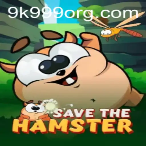 SavetheHamster: A Journey into the World of 9k 999